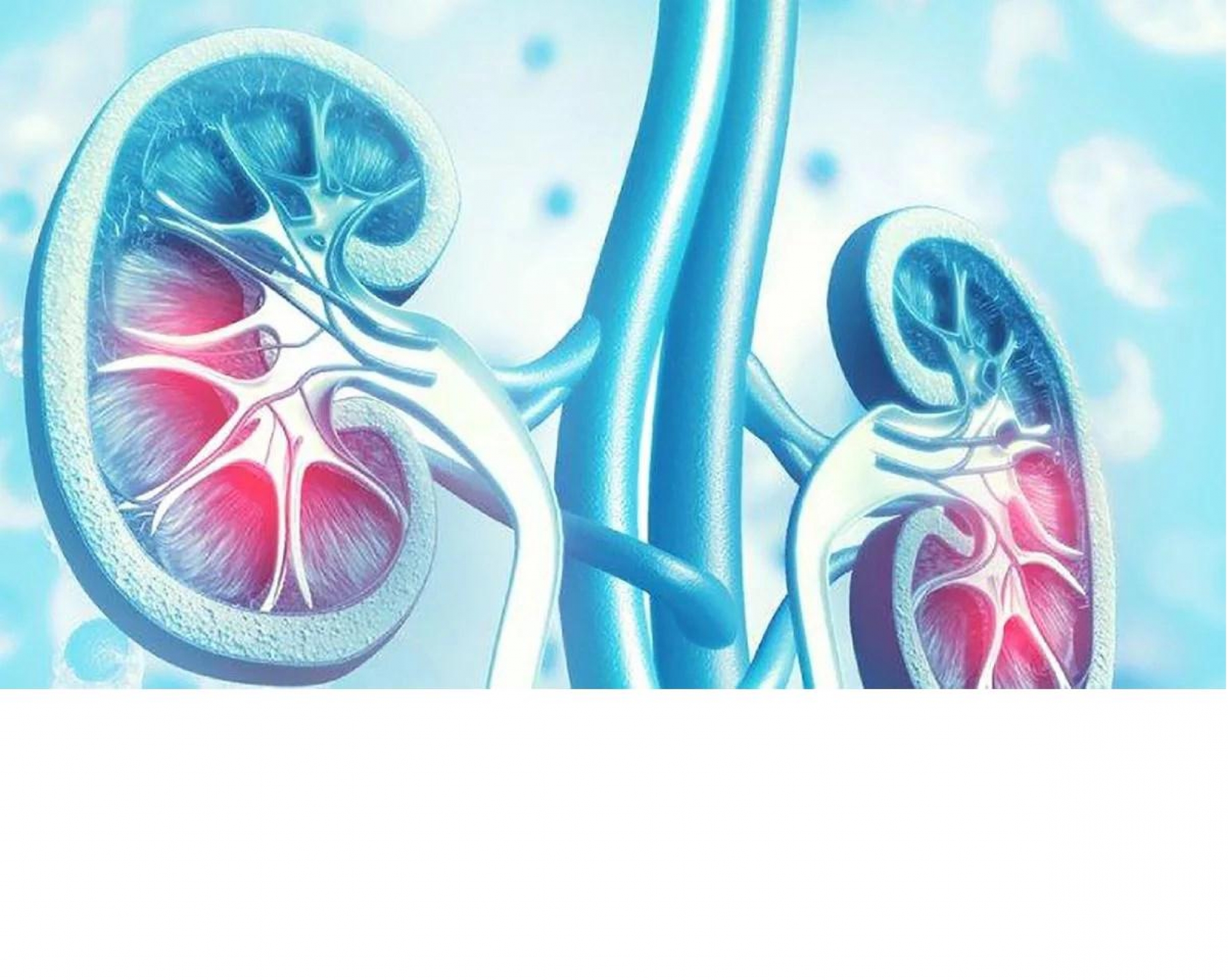 Enfermedad renal crónica (ERC)